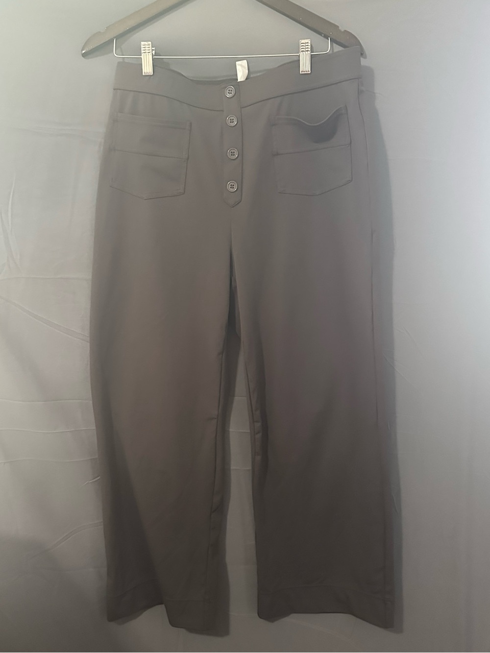 HALARA Button-Front Wide Leg Pants in Charcoal Gray